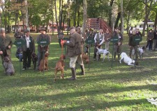 II. Országos CACT Vizsla Főverseny Soponyán – 195. adás – 2017.12.30-i adás