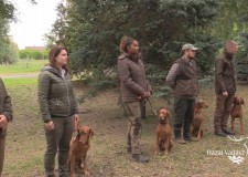 XVIII. CACIT Speciális Magyar Vizsla Verseny – 189. adás – 2017.11.18-i adás