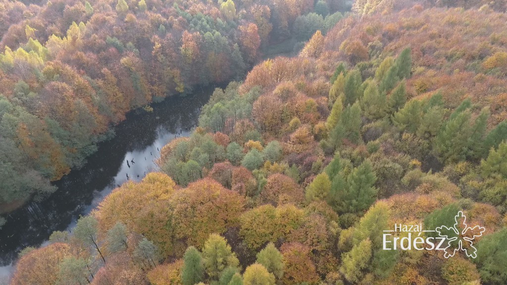 Gyönyörű őszi képek a Hubertlaki “Gyilkos” tóról és környékéről – 2017.11.03