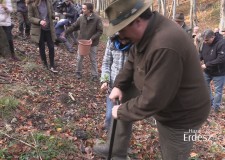 2017.11.06 – A HAZAI ERDÉSZ itt forgatott: A Diósjenői Erdei Szabadidőpark közelében, a Börzsönyben
