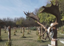 VI . Trófeaszemle a KEFAG Zrt. Kelebiai Vadászterületén – 2017.11.06.