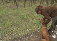 “A magyar vizsla a legokosabb kutya a világon!” – Mirjam Olowoyo versenyző, XVIII. CACIT Speciális Magyar Vizsla Verseny