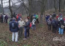 Életképek – Kisvasút-Őszi gasztrotúra a Süttői Erdészetnél – 2017. november 18.