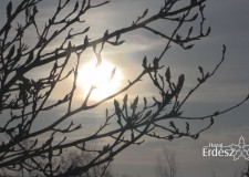 Napfelkelte a somogyszobi Kincses Erdőben – 2017. november