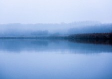 Akkor horgászunk, ha jól esik.. – 2017.12.15 – Tisza-tó