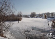 Téli horgászat – Tisza-tó – 2017.12.12.