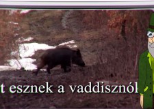 Erdő Ernő Bácsi meséi – Mit esznek a vaddisznók? – 198.adás – 2018.01.20.