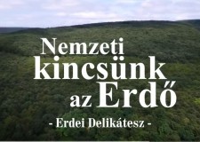 200. adás – Nemzeti kincsünk az Erdő – Erdei Delikátesz – 2018.02.03-i adás