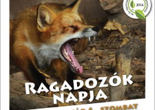 Ragadozók napja a Budakeszi Vadasparkban – 2017.01.04.
