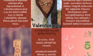 Valentin nap a Csömödéri Állami Erdei Vasúttal – 2018.01.24.