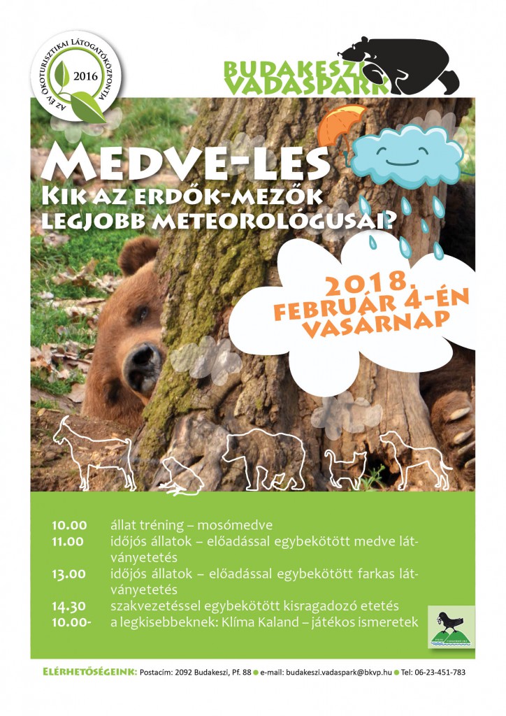Medve-les a Budakeszi Vadasparkban – 2018.02.01.