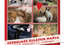 Szerelmes állatok napja a Budakeszi Vadasparkban – 2018.02.14.