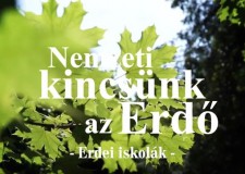Nemzeti kincsünk az Erdő_Erdei iskolák