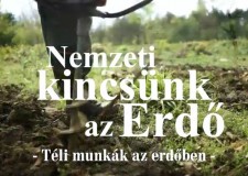 Nemzeti kincsünk az Erdő_Téli munkák az erdőben
