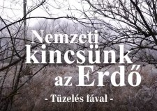 Nemzeti kincsünk az Erdő_Tüzelés fával