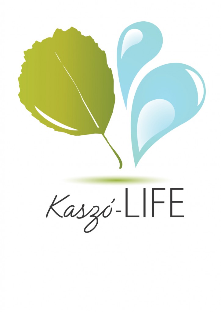 kaszo-life logo color