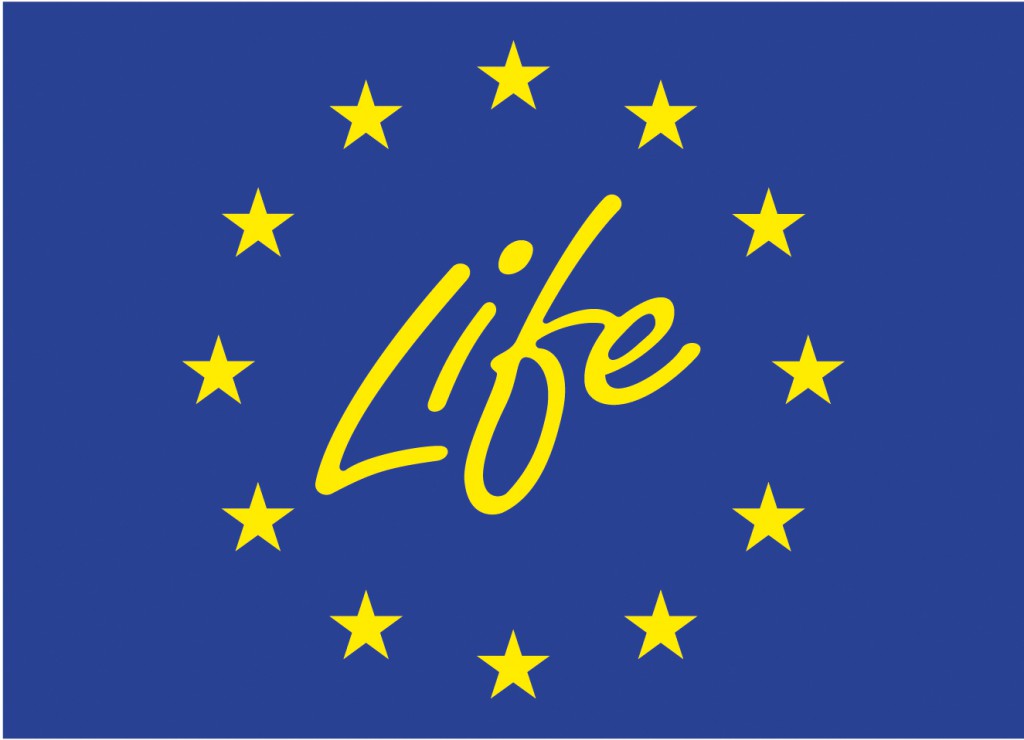 life_logo.jpg-1