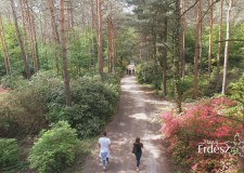 Séta a májusi Jeli arborétumban – 2018