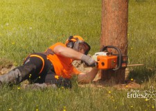 XVII. STIHL Országos Fakitermelő Versenysorozat Császári Regionális Elődöntője – 2018.05.05.