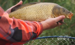 Rakós botos horgászat: Vén Tiborral, alias “Pontyokkal Táncoló Tibivel” – 221. – 2018.06.30-i adás