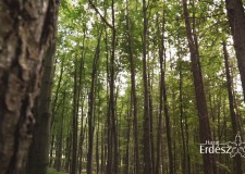Ajánló – HAZAI VADÁSZ – 225.adás – 2018.07.28. – szombat 12:30 óra – ECHO-TV