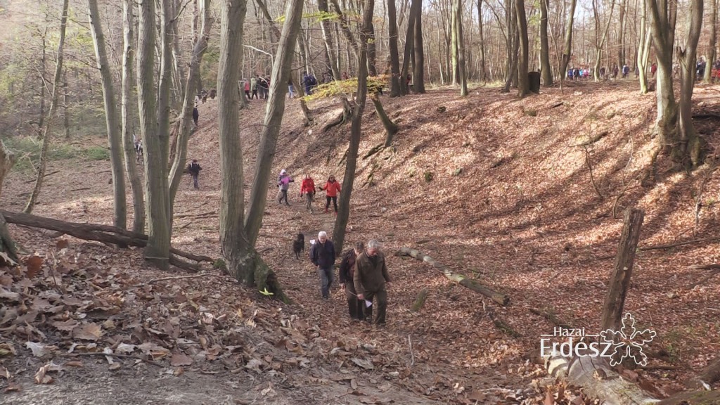 4. ŐSZI-TÚRA a Budapesti Erdőgazdaság Süttői Erdészeténél – 2018.11.17.