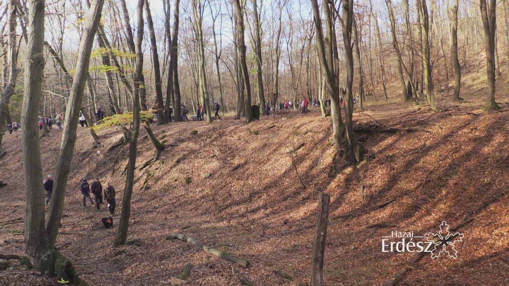 Mecsekerdő Zrt. és Mecsextrém Park márciusi programjai