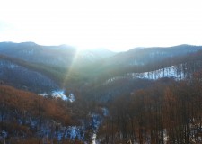 Aktuális szolgálati közlemény – 2019.01.18. – EGERERDŐ Zrt.