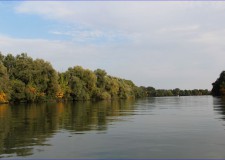 2019-ben sem emelkedik a Tisza-tavi horgászjegyek ára