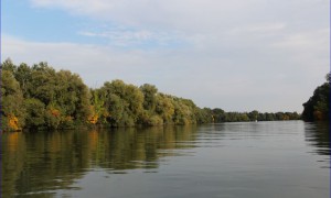 2019-ben sem emelkedik a Tisza-tavi horgászjegyek ára
