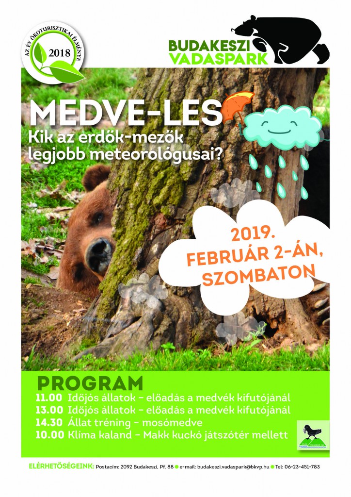 Medve-les a Budakeszi Vadasparkban