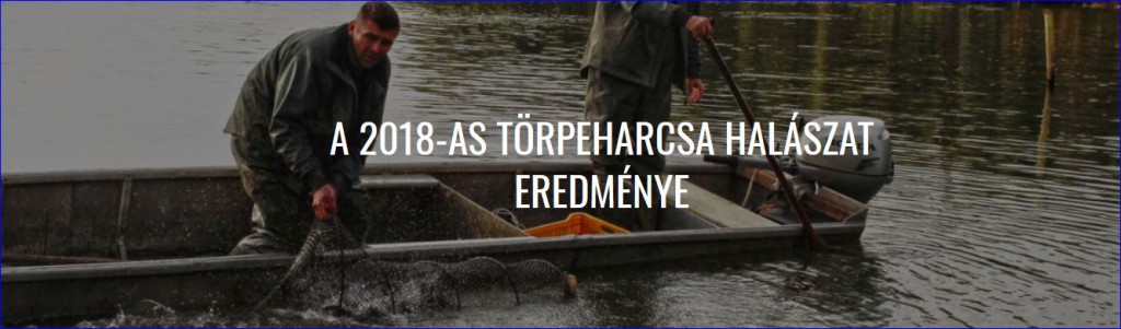 A 2018-as törpeharcsa halászat eredménye a Tisza-tavon