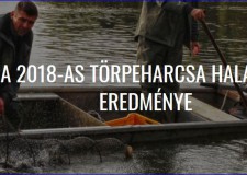 A 2018-as törpeharcsa halászat eredménye a Tisza-tavon