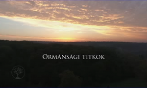 Műsorajánló – Reviczkyvel az Erdőben – Ormánsági titkok -2019.02.17. vasárnap 12:30 – ECHO-TV
