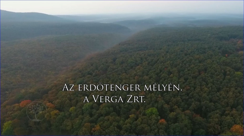 Ajánló – Reviczkyvel az Erdőben – Az erdőtenger mélyén, a VERGA Zrt. – 2019.02.03 vasárnap 12:30 óra – ECHO-TV