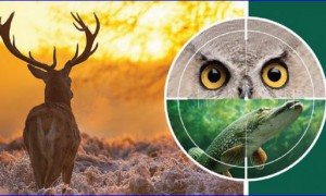 HAZAI VADÁSZ – 257. adás – Hohe Jagd & Fischerei – 2019.03.09 – ECHO-TV