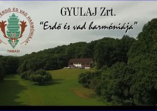 “Erdő és vad harmóniája” – Elkészült a Gyulaj Erdészeti és Vadászati Zrt. image filmje