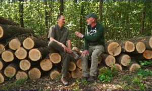 Reviczkyvel az Erdőben I. évad 12 epizódja a HÍR TV csatornán 2019.05.14-én, kedden 13:05 órakor – 11/12. A bakonyi rengetegben – 12/12. Az erdész hivatás szépségei és nehézségei