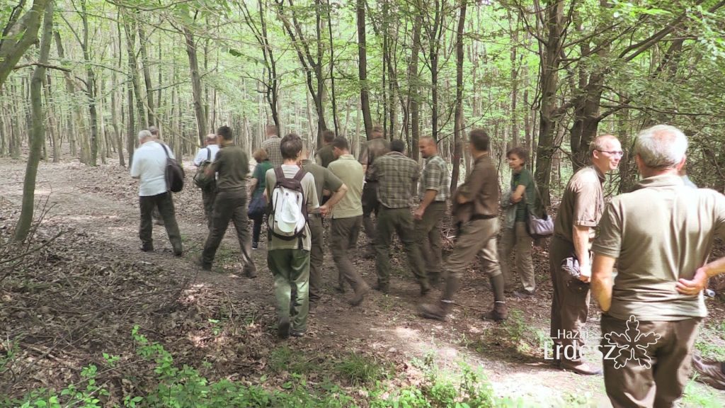 Örökerdő gazdálkodási szakmai nap a Bakonyerdő Zrt.-nél