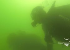 Legnézettebb filmjeink 2019-ben – Meglepetés a mélyben! – Fenyves-tó – Víz alatti fenyves