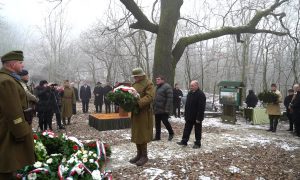 M5 csatorna – Erdei utakon – Reviczky Gáborral – Műsorajánló – 9. adás – 2020.02.15. szombat 12:30