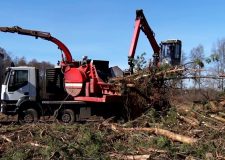 Fakitermelés és az év eleji erdőápolás – 2020/6. adás – 2020.03.07.