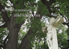 M5 TV – Nemzeti Kincsünk az Erdő – Vallás és erdő – 2020/47. adás – 2020.12.19.