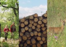 M5 TV – Nemzeti Kincsünk az Erdő – Az erdőgazdálkodás 3 célja – 2021/7. adás – 2021.02.13.