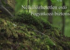 M5 TV – Nemzeti Kincsünk az Erdő – Erdősültség – 2021/24. adás – 2021.06.12.