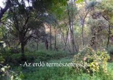M5 TV – Nemzeti Kincsünk az Erdő – Az erdő természetessége – 2021/34. adás – 2021.08.21.