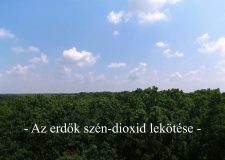 M5 TV – Nemzeti Kincsünk az Erdő – Az erdők szén-dioxid lekötése – 2021/32. adás – 2021.08.07.