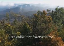 M5 TV – Nemzeti Kincsünk az Erdő – Az erdők természetvédelme – 2021/33. adás – 2021.08.14.