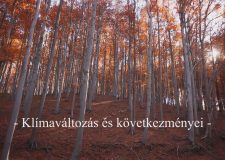 M5 TV – Nemzeti Kincsünk az Erdő – Klímaváltozás és következményei – 2022/09. adás – 2022.02.26.