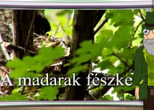 M5 TV – Erdő Ernő bácsi meséi – Hogyan készítenek fészket a madarak? – 2022/08. adás – 2022.02.19.